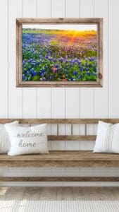 This image Is a Pinterest Pin.It features a framed print of a field of Texas bluebonnets with the sun glowing above in the right hand corner. There is a simple country bench underneath with white pillows and one says, welcome home. 