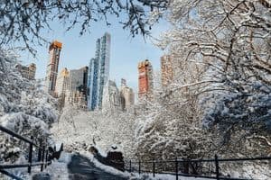 Tall majestic skyscrapers near bridge surrounded by leafless trees covered with snow against cloudless sky in daytime